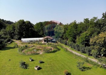 Giardino - Terreno agricolo Medolago - foto 3