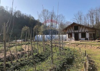 Giardino - Terreno agricolo Medolago - foto 7