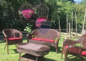 Dettagli - Terreno agricolo Medolago - foto 13