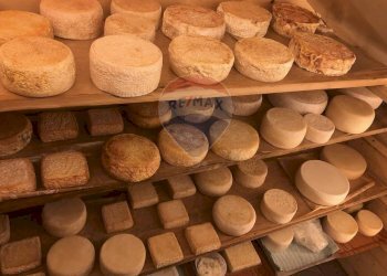 Dettagli - Terreno agricolo Medolago - foto 14