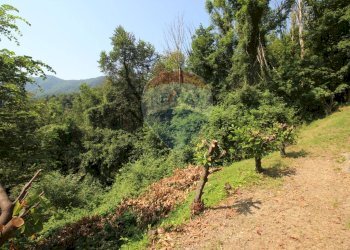 Giardino - Semi-detached house via madonna della neve, Selvino - photo 26