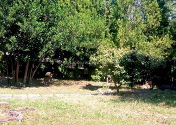 Foto 34 - Casa semi indipendente Via Dei Garofali
 
10, Civitella Casanova - foto 34