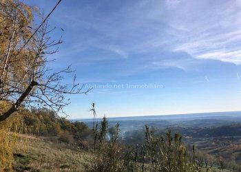 Foto 16 - Casa indipendente Contrada Bosco, Civitella Casanova - foto 16