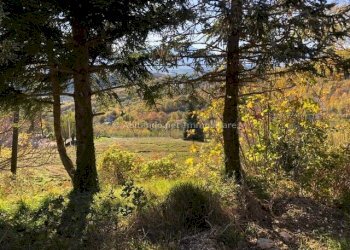 Foto 18 - Casa indipendente Contrada Bosco, Civitella Casanova - foto 18