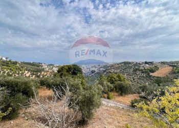 vista - Villa Località Coppacardillo
 
11, Vieste - foto 25