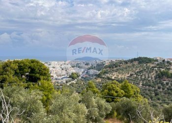 vista - Villa Località Coppacardillo
 
11, Vieste - foto 26