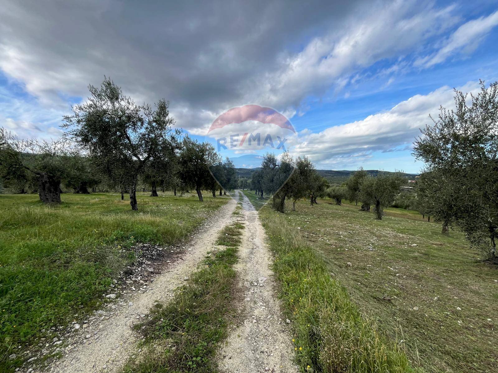 terreno - Quadrilocale Località Coppa Cardillo
 
7, Vieste - foto 2