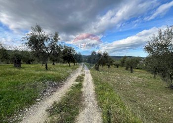 terreno - Quadrilocale Località Coppa Cardillo
 
7, Vieste - foto 2