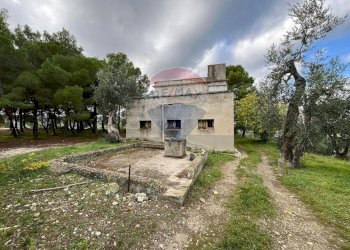 fabbricato - Quadrilocale Località Coppa Cardillo
 
7, Vieste - foto 3