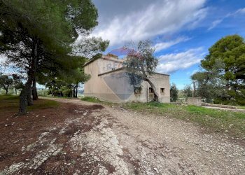 fabbricato - Quadrilocale Località Coppa Cardillo
 
7, Vieste - foto 8