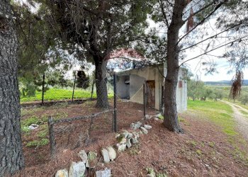 esterno - Quadrilocale Località Coppa Cardillo
 
7, Vieste - foto 18