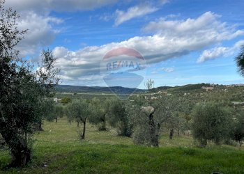 terreno - Quadrilocale Località Coppa Cardillo
 
7, Vieste - foto 20