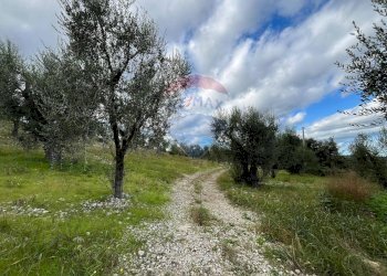 terreno - Quadrilocale Località Coppa Cardillo
 
7, Vieste - foto 21