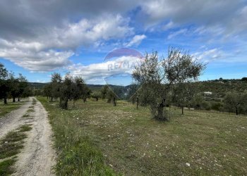 terreno - Quadrilocale Località Coppa Cardillo
 
7, Vieste - foto 22