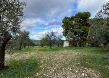 terreno - Quadrilocale Località Coppa Cardillo
 
7, Vieste - foto 23
