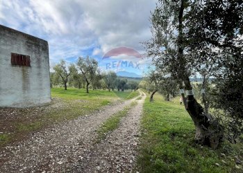 terreno - Quadrilocale Località Coppa Cardillo
 
7, Vieste - foto 24