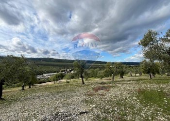 terreno - Quadrilocale Località Coppa Cardillo
 
7, Vieste - foto 26