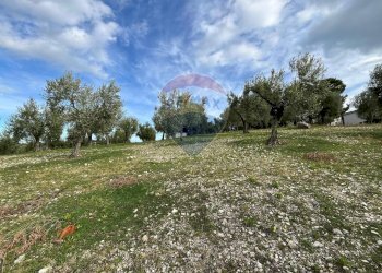 terreno - Quadrilocale Località Coppa Cardillo
 
7, Vieste - foto 27