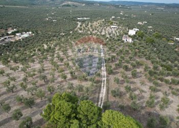 Vista delle montagne - Quadrilocale Località Coppa Cardillo
 
7, Vieste - foto 33