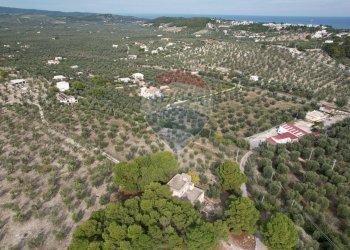 Vista delle montagne - Quadrilocale Località Coppa Cardillo
 
7, Vieste - foto 39