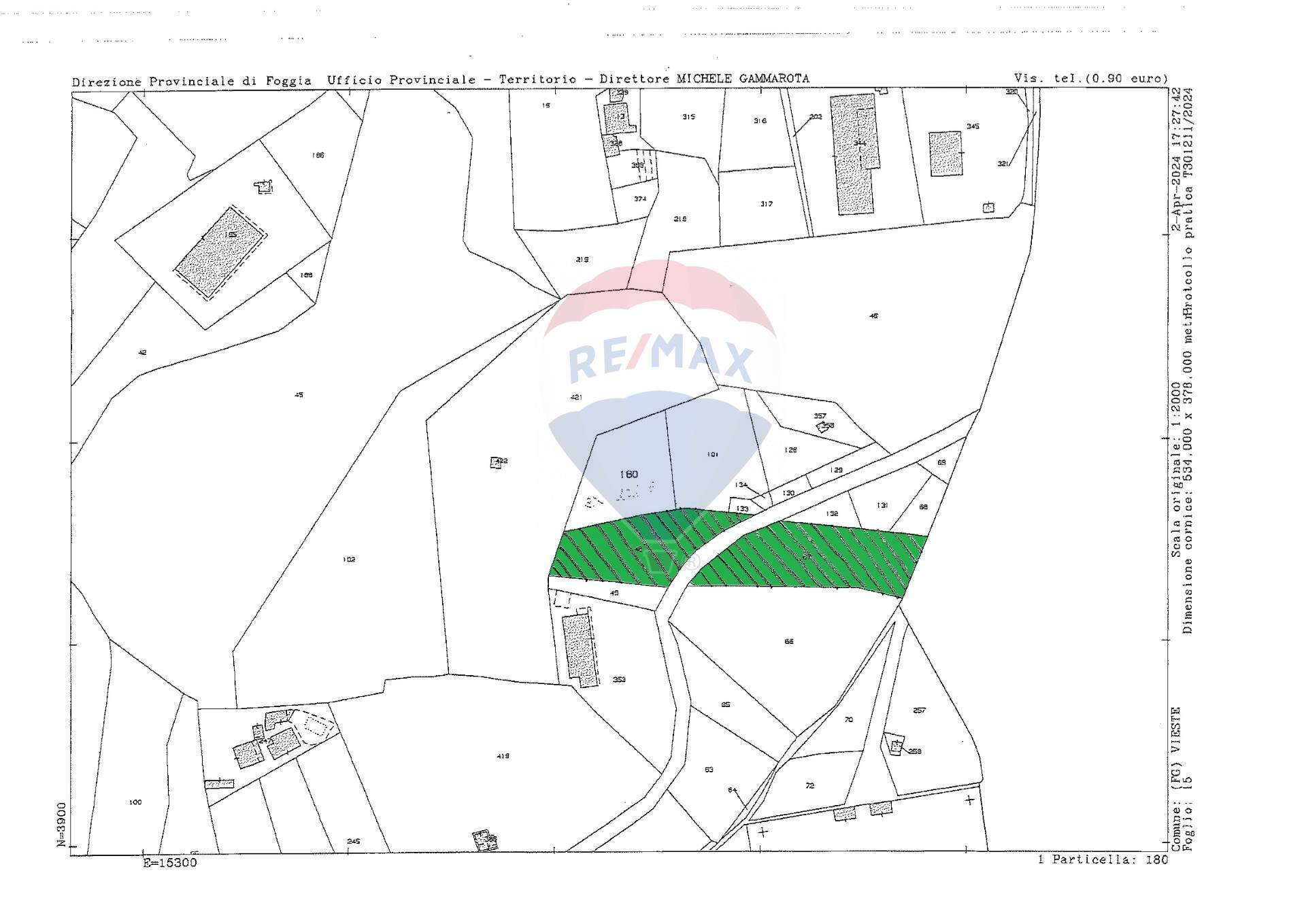 Pianta 2D - Terreno agricolo Coppacardillo, Vieste - planimetria 1