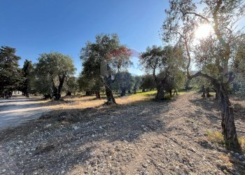 terreno - Terreno agricolo Coppacardillo, Vieste - foto 8