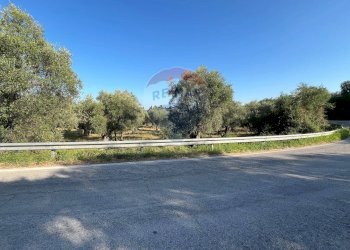 terreno - Terreno agricolo Coppacardillo, Vieste - foto 15