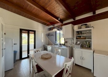 cucina - Appartamento Località Palude Mezzane
 
SNC, Vieste - foto 5