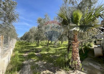 terreno - Appartamento Località Palude Mezzane
 
SNC, Vieste - foto 11