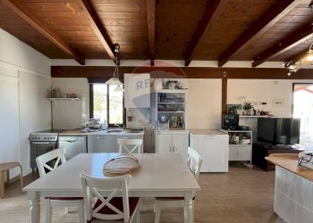 cucina - Appartamento Località Palude Mezzane
 
SNC, Vieste - foto 17