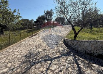 giardino esterno - Villa Località Macchia di Mauro, Vieste - foto 29