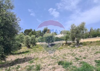 terreno - Villa Località Grotta Spagnola
 
snc, Vieste - foto 21