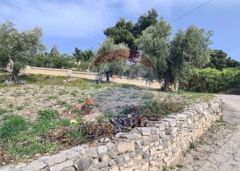 terreno - Villa Località Grotta Spagnola
 
snc, Vieste - foto 22