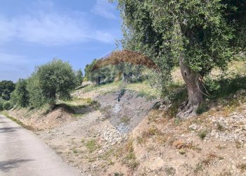 terreno - Villa Località Grotta Spagnola
 
snc, Vieste - foto 24