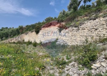 terreno - Villa Località Grotta Spagnola
 
snc, Vieste - foto 25