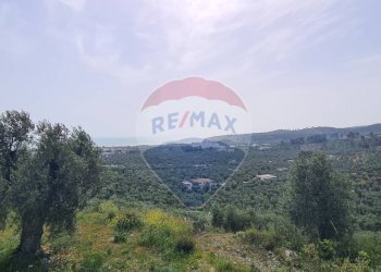 terreno - Villa Località Grotta Spagnola
 
snc, Vieste - foto 26