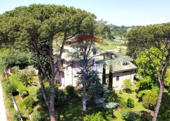 Giardino - Villa Via trotula  de ruggiero
 
146, Roma - foto 48