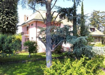Giardino - Villa Via trotula  de ruggiero
 
146, Roma - foto 50