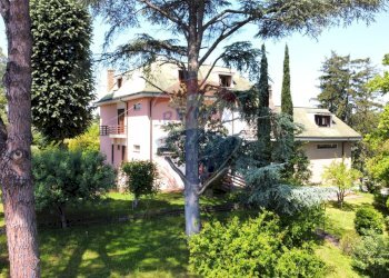 Giardino - Villa Via trotula  de ruggiero
 
146, Roma - foto 53