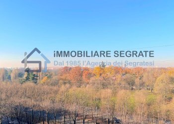 Foto 59 - Attico Residenza Cerchi, Segrate - foto 59