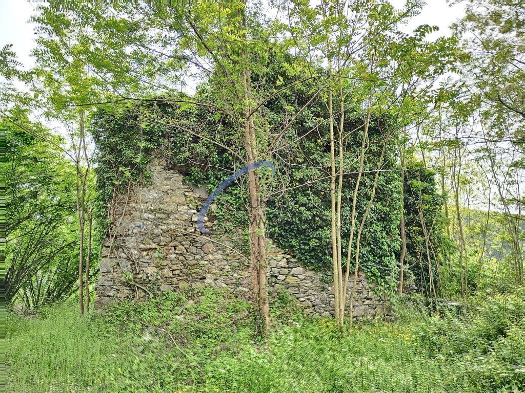 Foto 3 - Rustico San Colombano Certenoli - foto 3