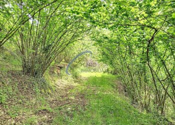 Foto 4 - Rustico San Colombano Certenoli - foto 4