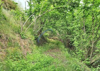 Foto 5 - Rustico San Colombano Certenoli - foto 5