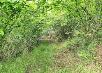 Foto 6 - Rustico San Colombano Certenoli - foto 6