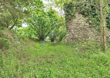 Foto 7 - Rustico San Colombano Certenoli - foto 7