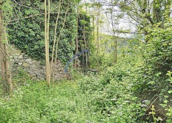 Foto 8 - Rustico San Colombano Certenoli - foto 8