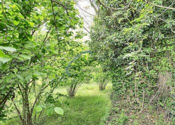 Foto 9 - Rustico San Colombano Certenoli - foto 9