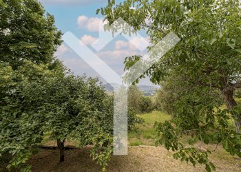 Foto 35 - Villa Via Santa Maria, Montopoli di Sabina - foto 35