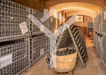 Foto 26 - Villa Toraccia di Chiusi, San Gimignano - photo 26