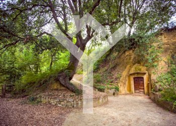 Foto 54 - Villa Toraccia di Chiusi, San Gimignano - photo 54